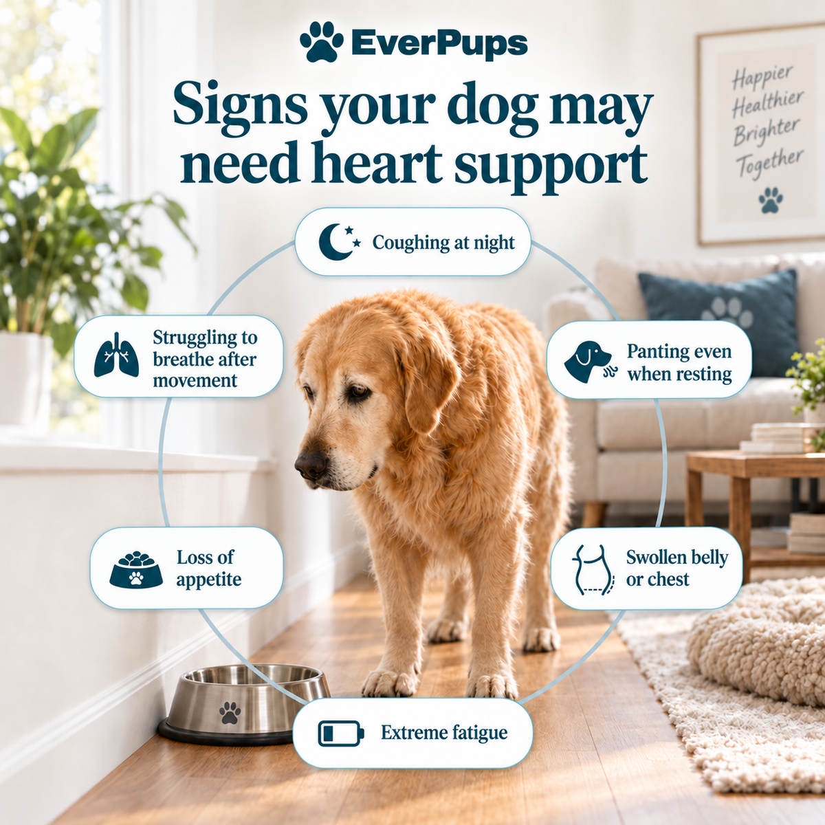 Heart Health Drops