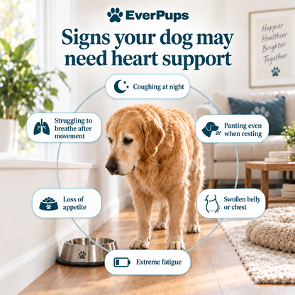Heart Health Drops